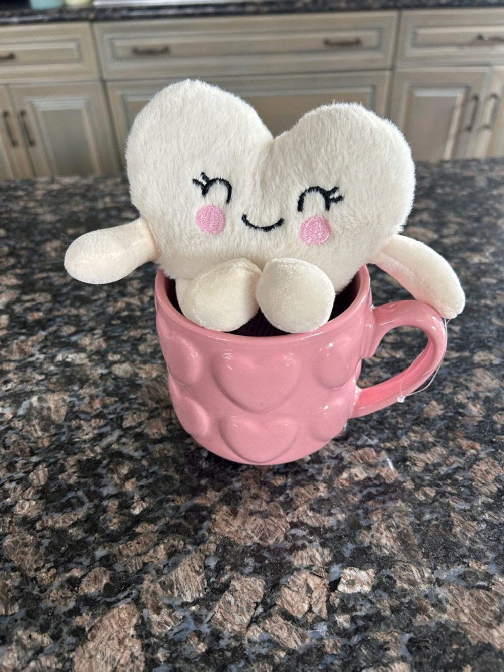 DAN  DEE WHITE PLUSH HEART AND MUG SET NWT